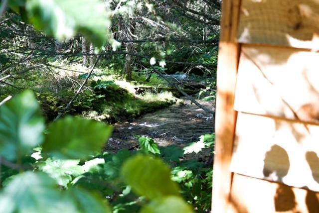 Hope Alaska'S Bear Creek Lodge Экстерьер фото